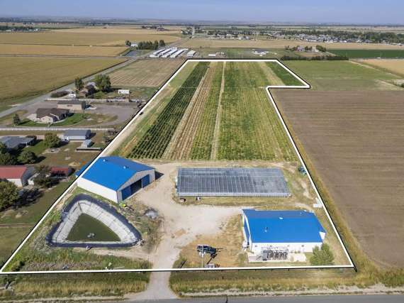 Hemp Extraction Facility